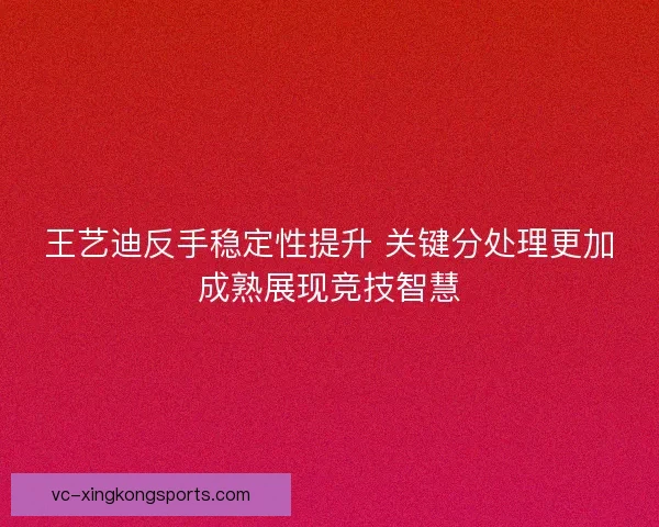 王艺迪反手稳定性提升 关键分处理更加成熟展现竞技智慧